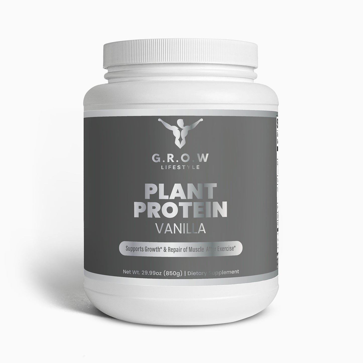 Plant Protein (Vanilla)